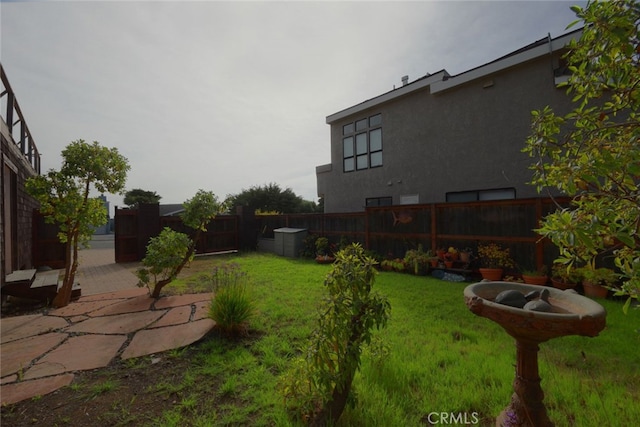 view of yard with a patio area