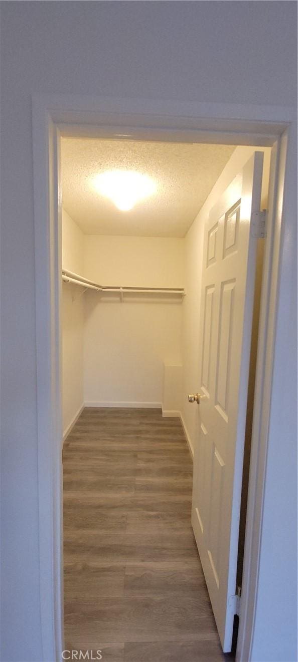 walk in closet featuring dark hardwood / wood-style floors