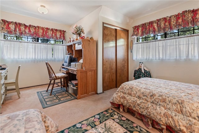 bedroom with a closet, light carpet, and multiple windows