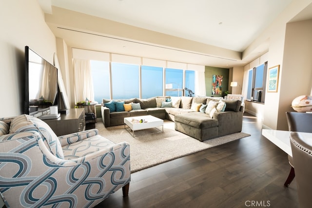 living room with dark hardwood / wood-style flooring