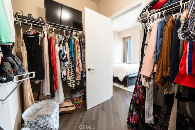 walk in closet with dark wood-type flooring