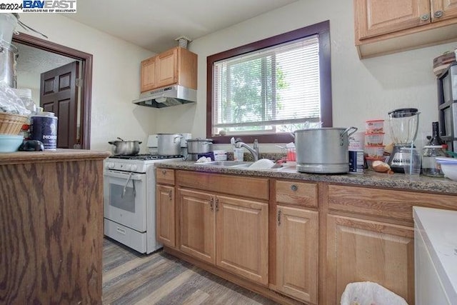 kitchen featuring light hardwood / wood-style floors, sink, and white range with gas stovetop