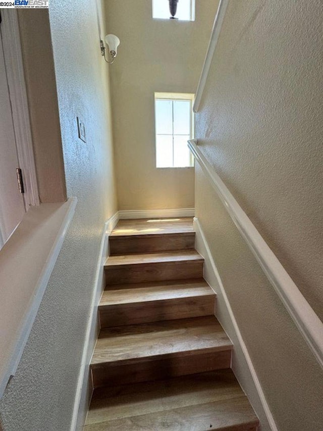 staircase with wood-type flooring