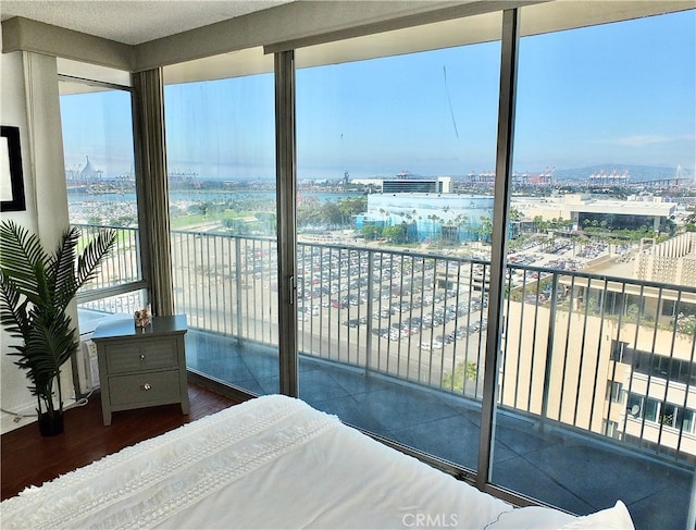 bedroom with multiple windows and dark hardwood / wood-style flooring