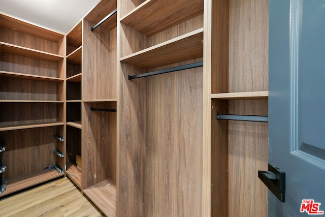 spacious closet with light wood-type flooring