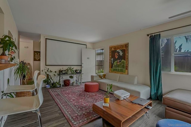 cinema room with wood-type flooring