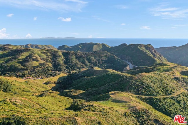 1100 Kanan Dume Rd, Malibu CA, 90265 land for sale