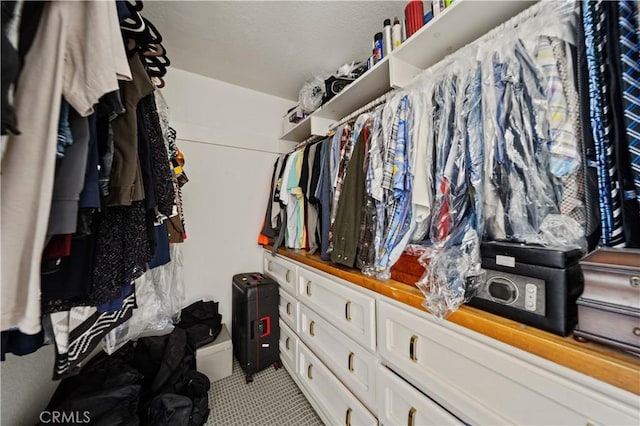 view of spacious closet