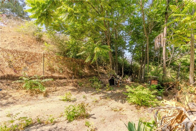 1865 Hanscom Dr, South Pasadena, CA 91030 - view of local wilderness