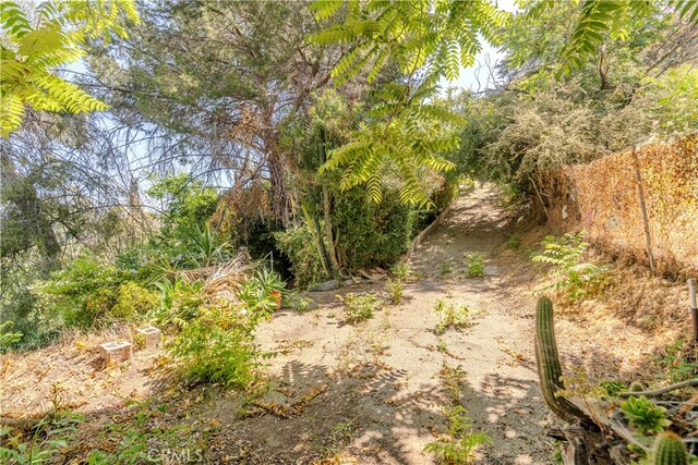1865 Hanscom Dr, South Pasadena, CA 91030 - view of nature