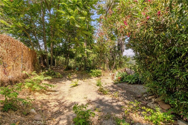 1865 Hanscom Dr, South Pasadena, CA 91030 - view of nature