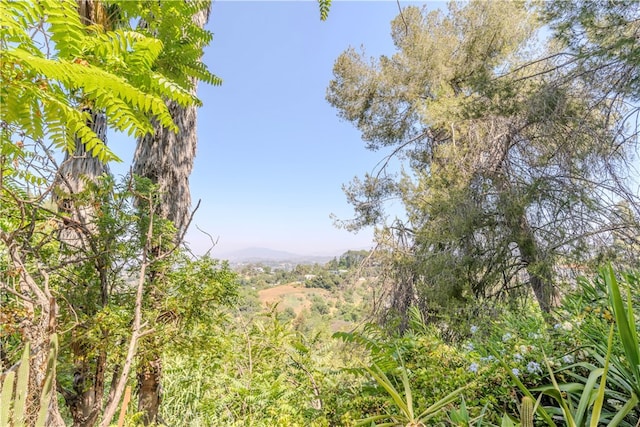 view of nature with a mountain view