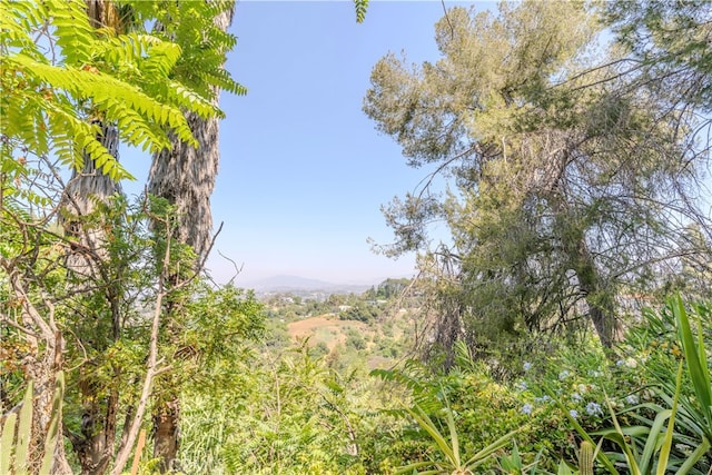 1865 Hanscom Dr, South Pasadena, CA 91030 - view of undeveloped land with mountains