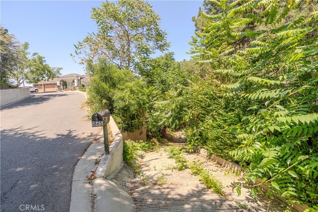 1865 Hanscom Dr, South Pasadena, CA 91030 - view of road
