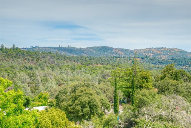 view of mountain feature