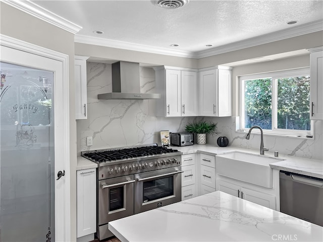 kitchen with white cabinets, backsplash, appliances with stainless steel finishes, wall chimney exhaust hood, and sink