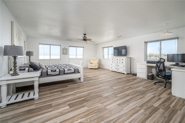 bedroom featuring multiple windows, ceiling fan, and a textured ceiling