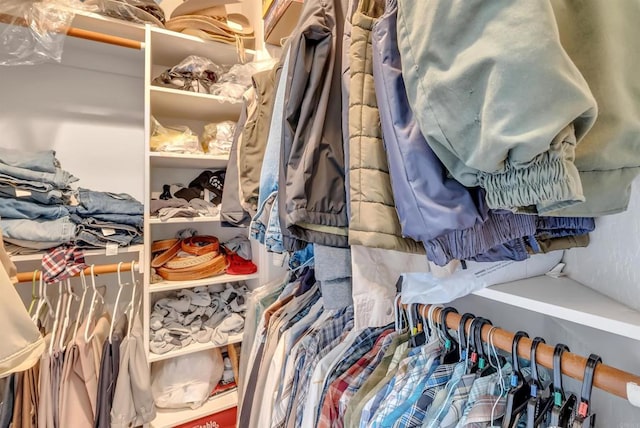 view of spacious closet