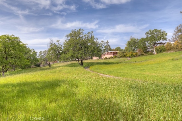 view of yard with a rural view