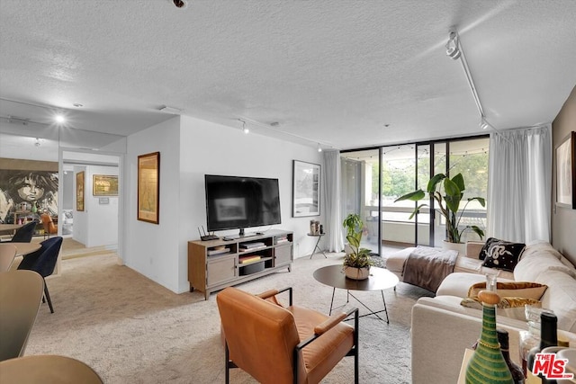 carpeted living room featuring a textured ceiling and track lighting