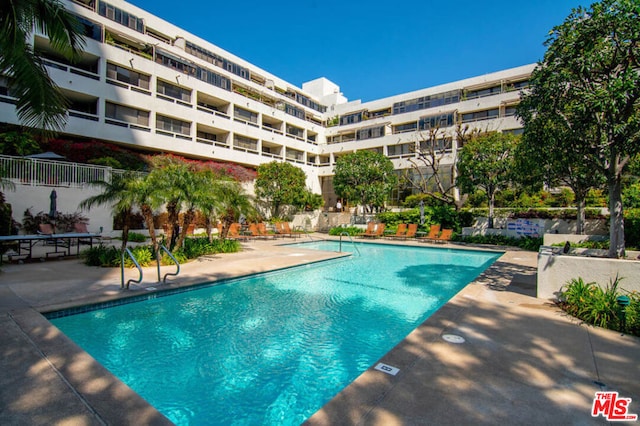 view of pool featuring a patio