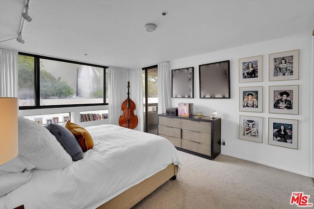 carpeted bedroom with track lighting