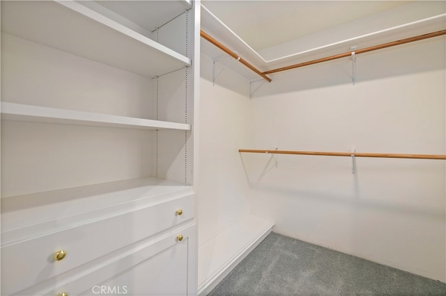 spacious closet featuring carpet flooring