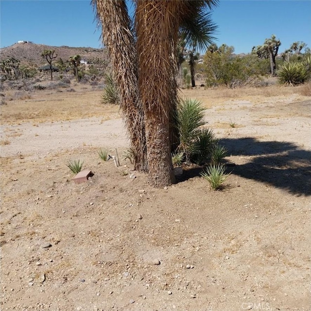 57976 Buena Vista Dr, Yucca Valley, CA 92284 - photo 15