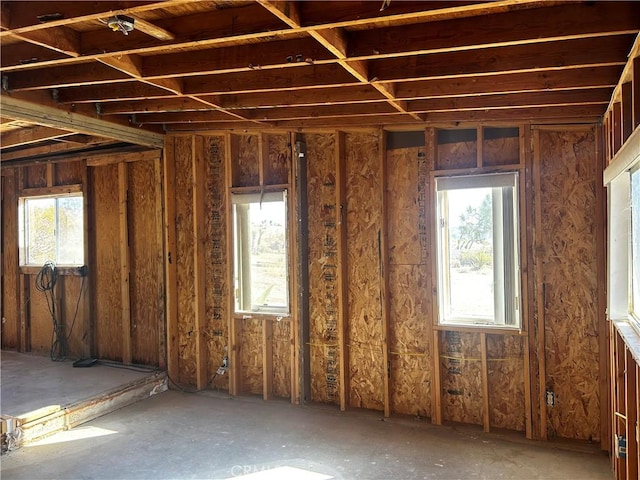 miscellaneous room with a wealth of natural light