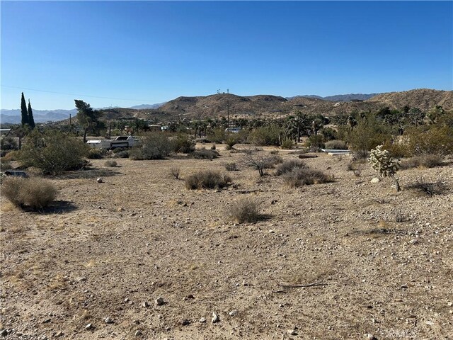 57976 Buena Vista Dr, Yucca Valley, CA 92284 - photo 16