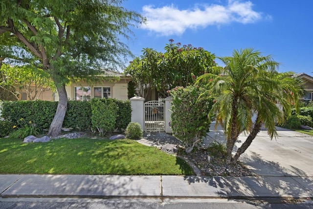 view of property hidden behind natural elements with a front lawn