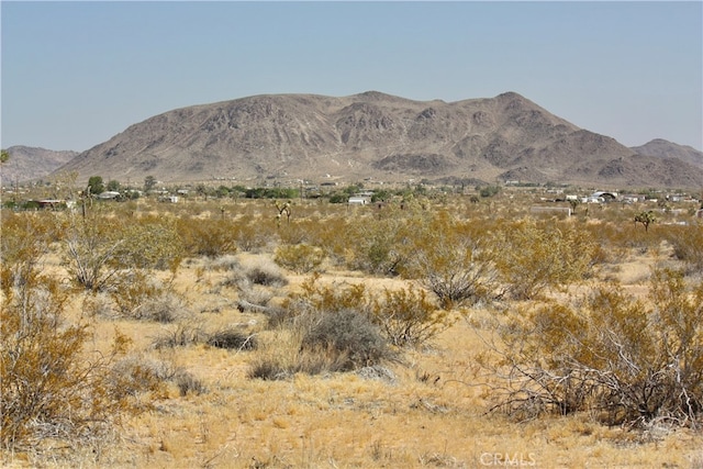 428 Gerber Ave, Landers CA, 92285 land for sale