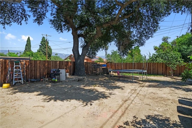 view of yard with a trampoline