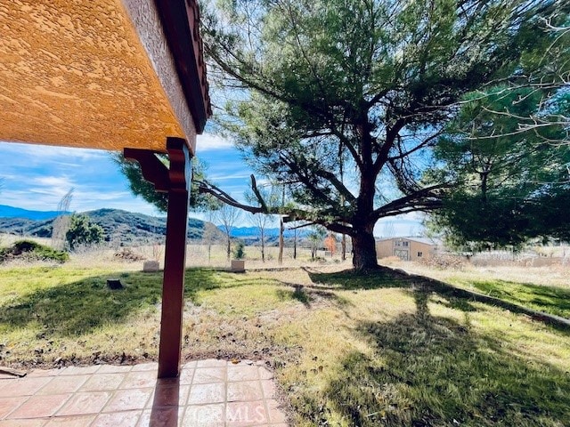 view of yard featuring a mountain view