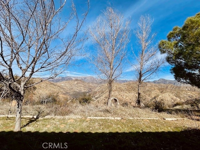 view of yard with a mountain view