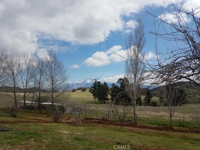 view of yard with a rural view and a mountain view