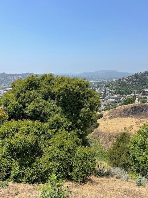 653 Beech St, Los Angeles CA, 90065 land for sale