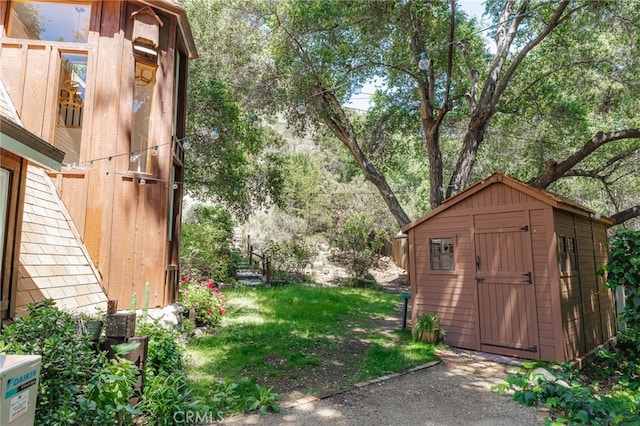 view of yard with a storage shed