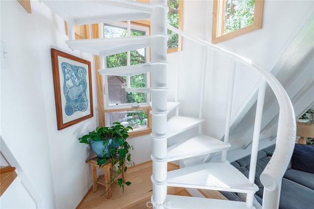 stairway with wood-type flooring and plenty of natural light