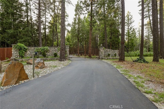 view of road with a gate and a gated entry