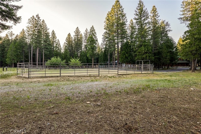 view of yard with a rural view