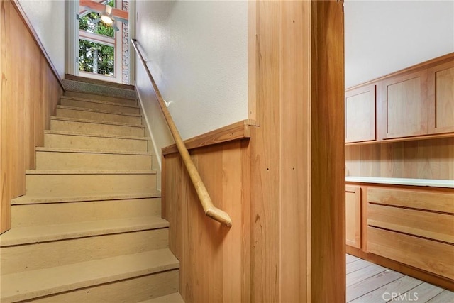 staircase with hardwood / wood-style flooring and wooden walls