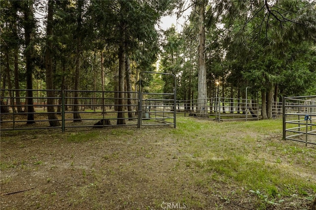 view of yard with an outbuilding