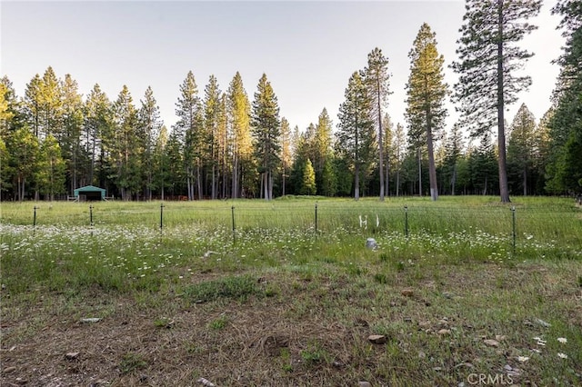 view of landscape with a forest view and a rural view