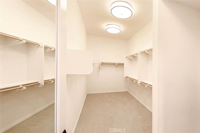 spacious closet with light colored carpet