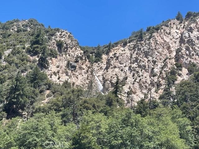 41489 Island Dr, Forest Falls, CA 92339