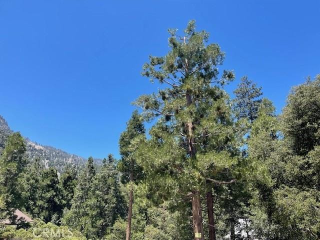 41489 Island Dr, Forest Falls, CA 92339