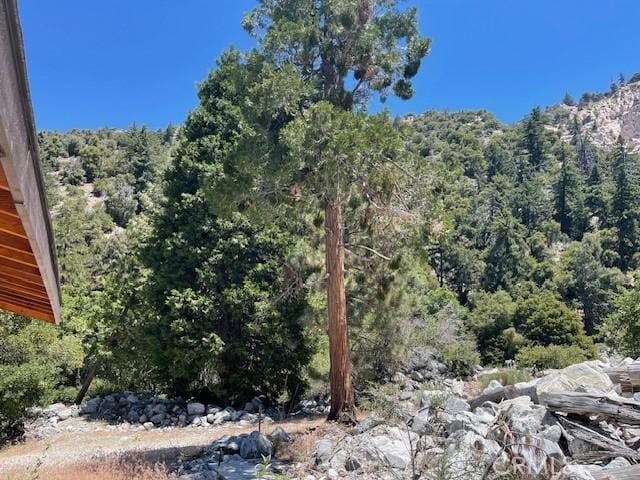 41489 Island Dr, Forest Falls, CA 92339
