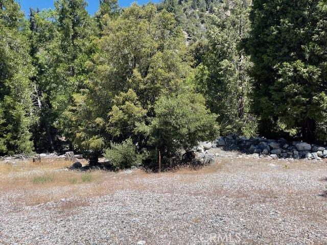 41489 Island Dr, Forest Falls, CA 92339
