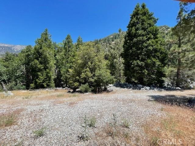 41489 Island Dr, Forest Falls, CA 92339
